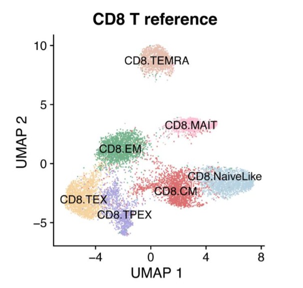 Bio-protocol figure on T-cell clonal analysis with scRNA-seq and reference maps