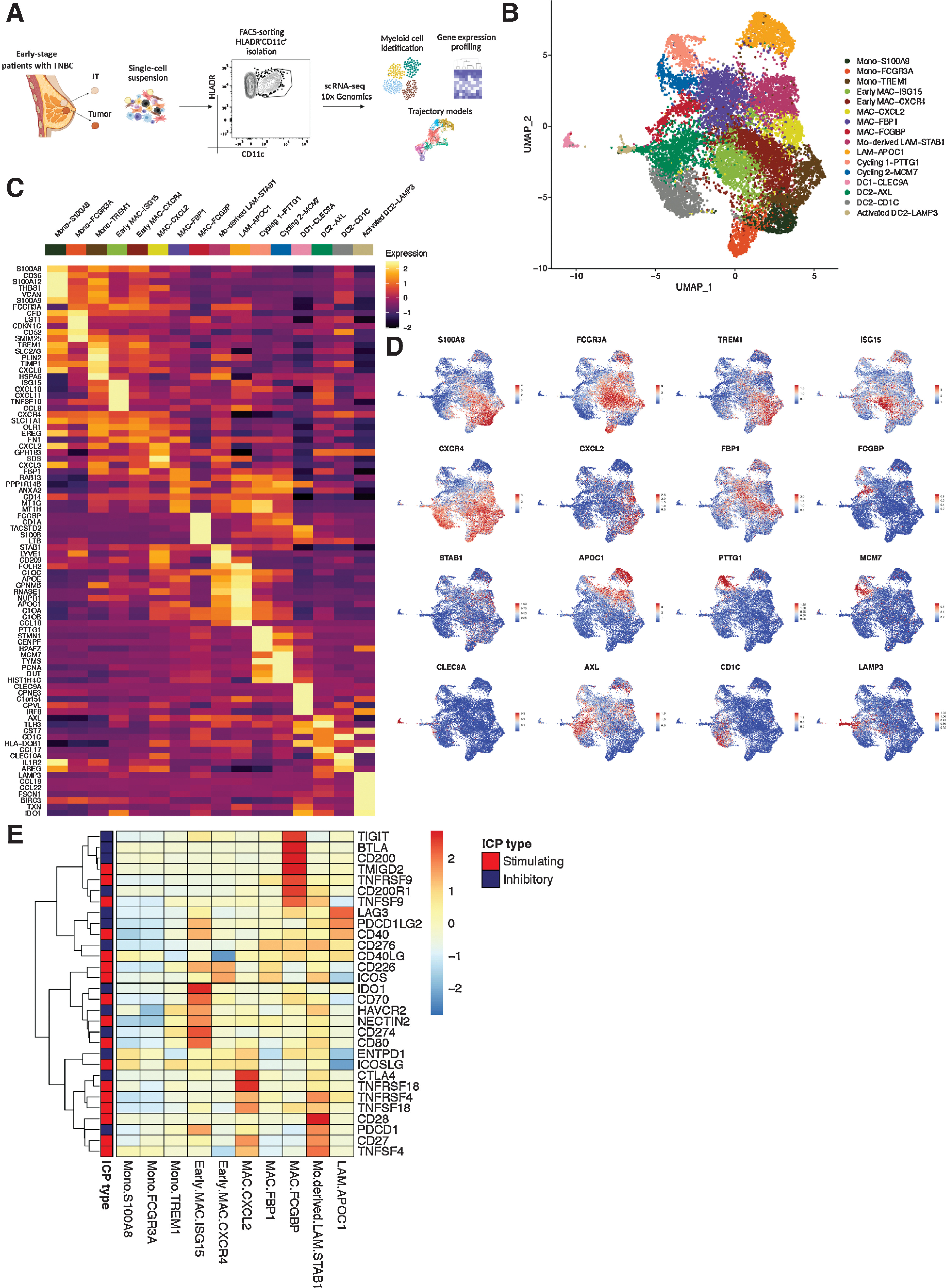 Cancer Research figure on lipid-associated macrophages in breast cancer