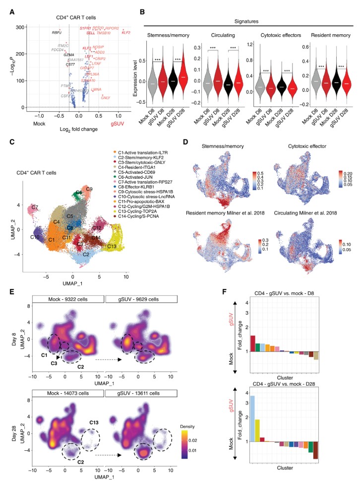 Figure from Cancer Discovery paper on SUV39H1 ablation in CAR-T cells