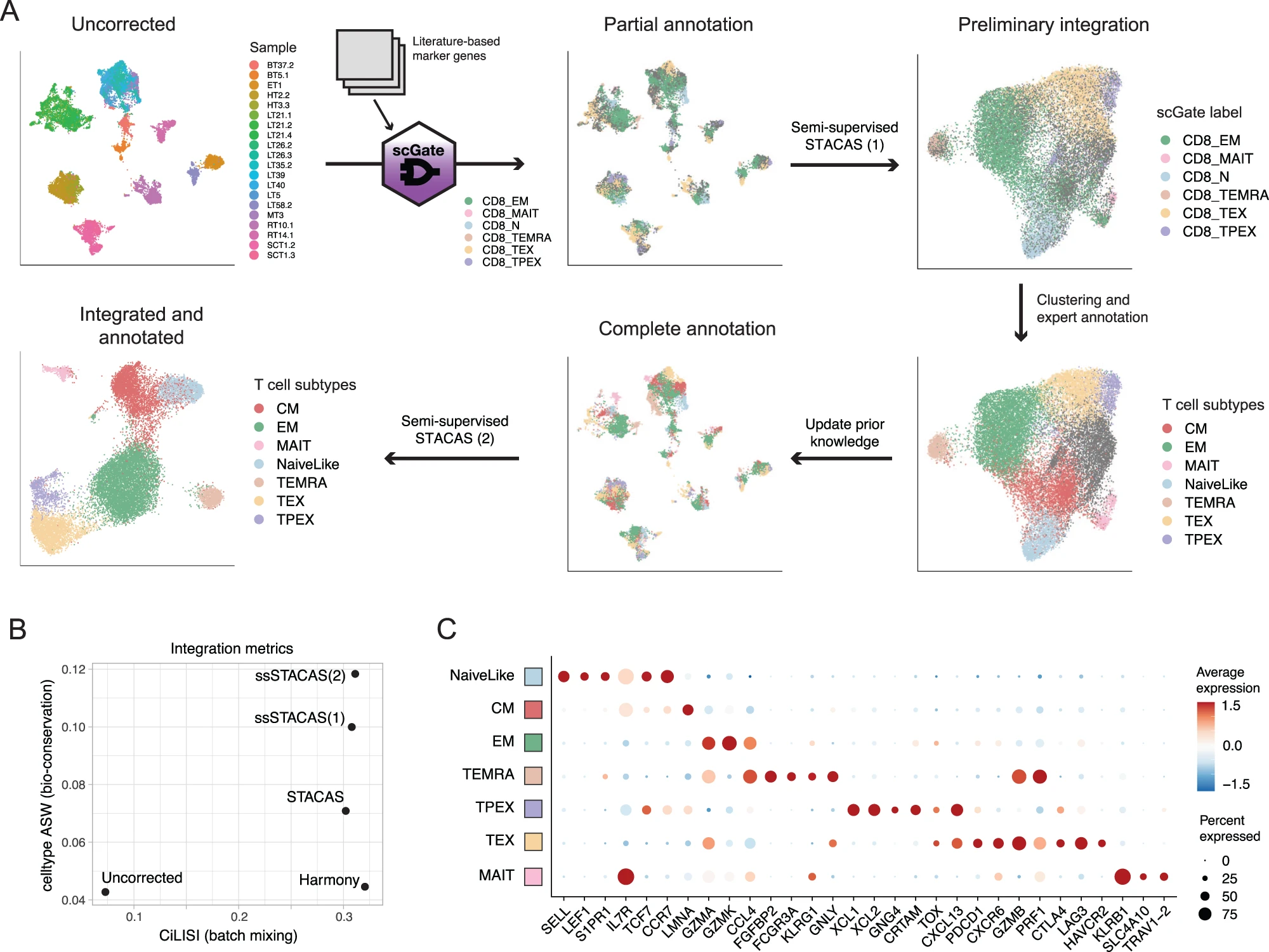 CD8 T-cell reference map — STACAS semi-supervised single-cell integration